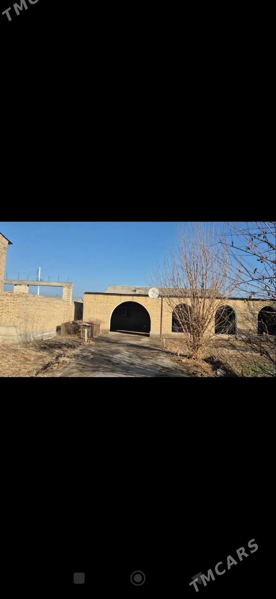 satlyk mellek - Türkmenabat - img 1