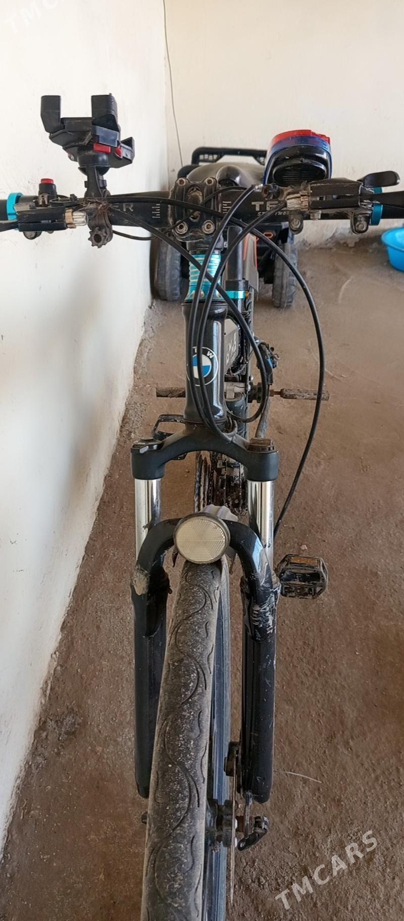 Tigir - Tejen - img 1