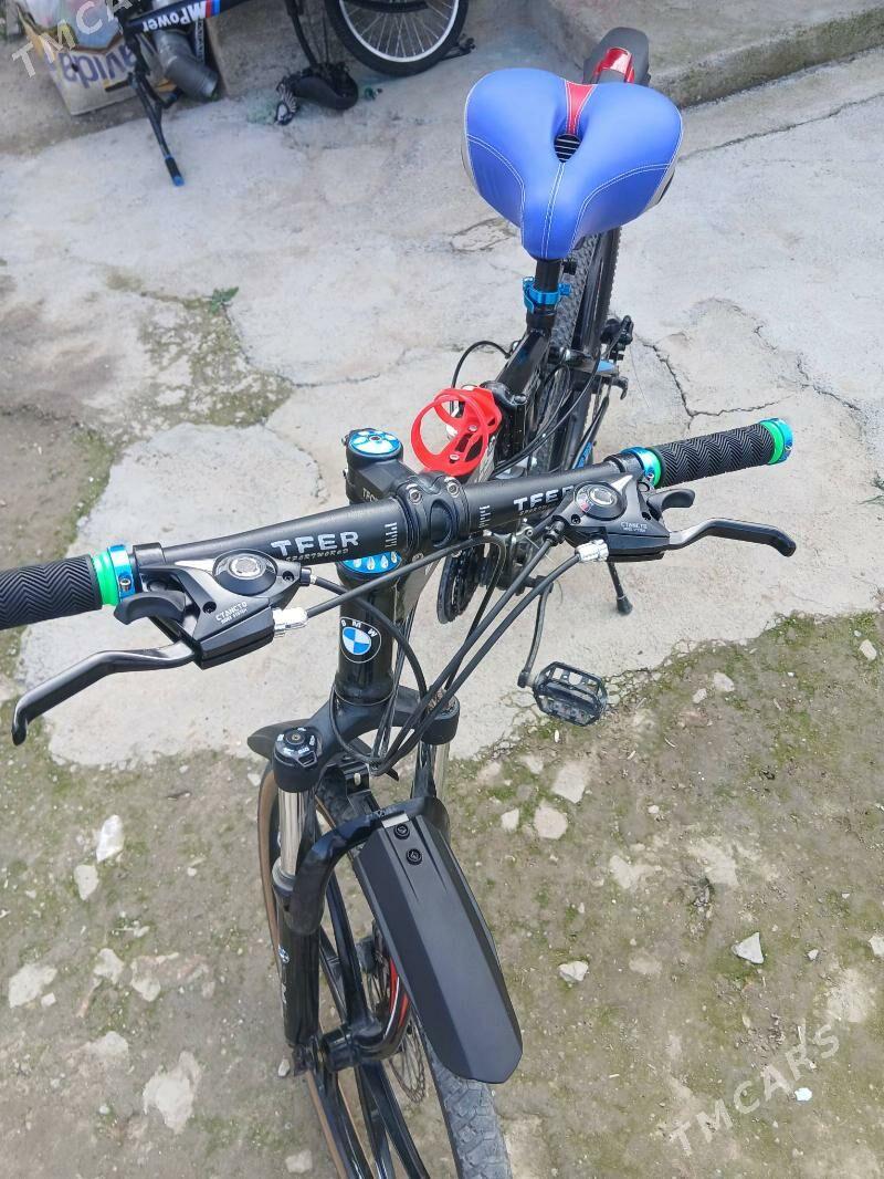 Tigir - Bekrewe - img 1