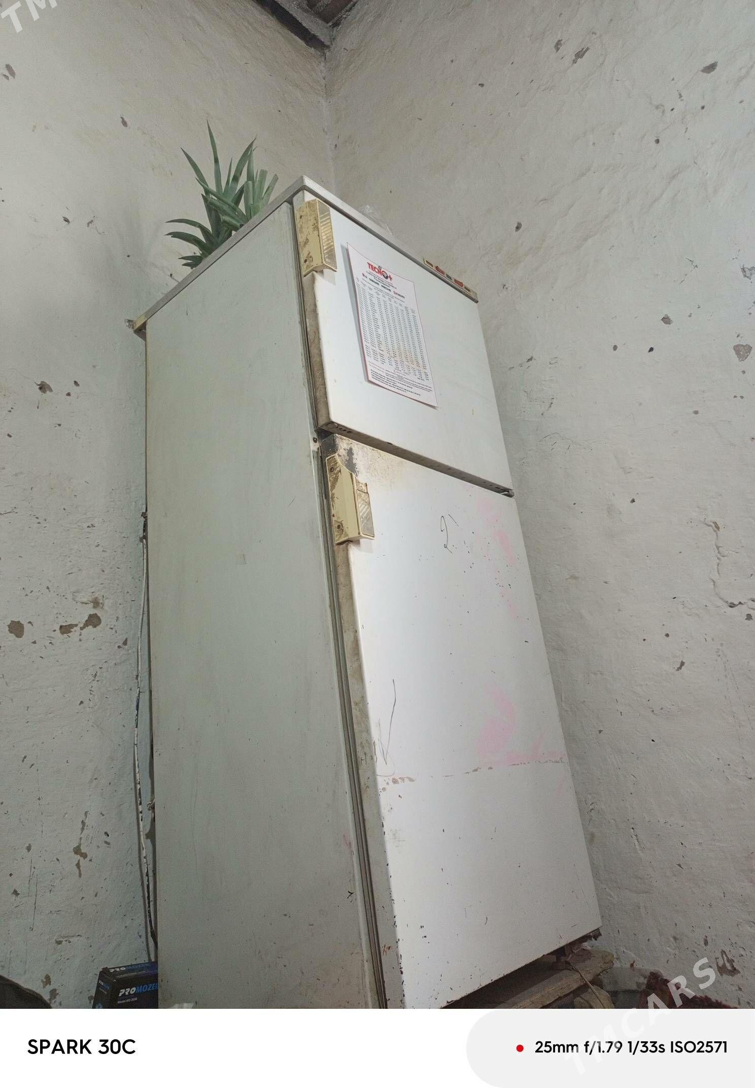 orsyn halodilnigi - Анев - img 1