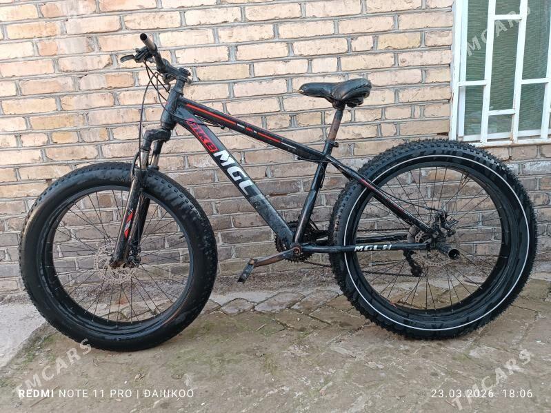 Tigir(велосипед) - Baýramaly - img 1