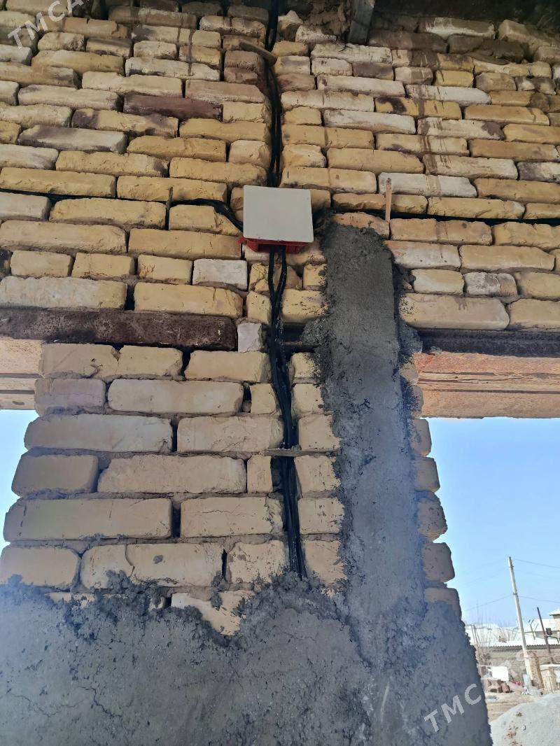 Elektrik ussa - Mary - img 1