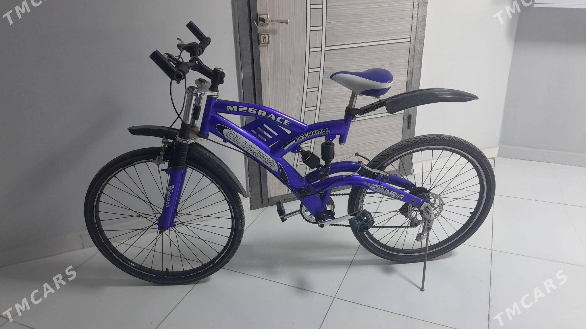 Tigir - Arkadag - img 1