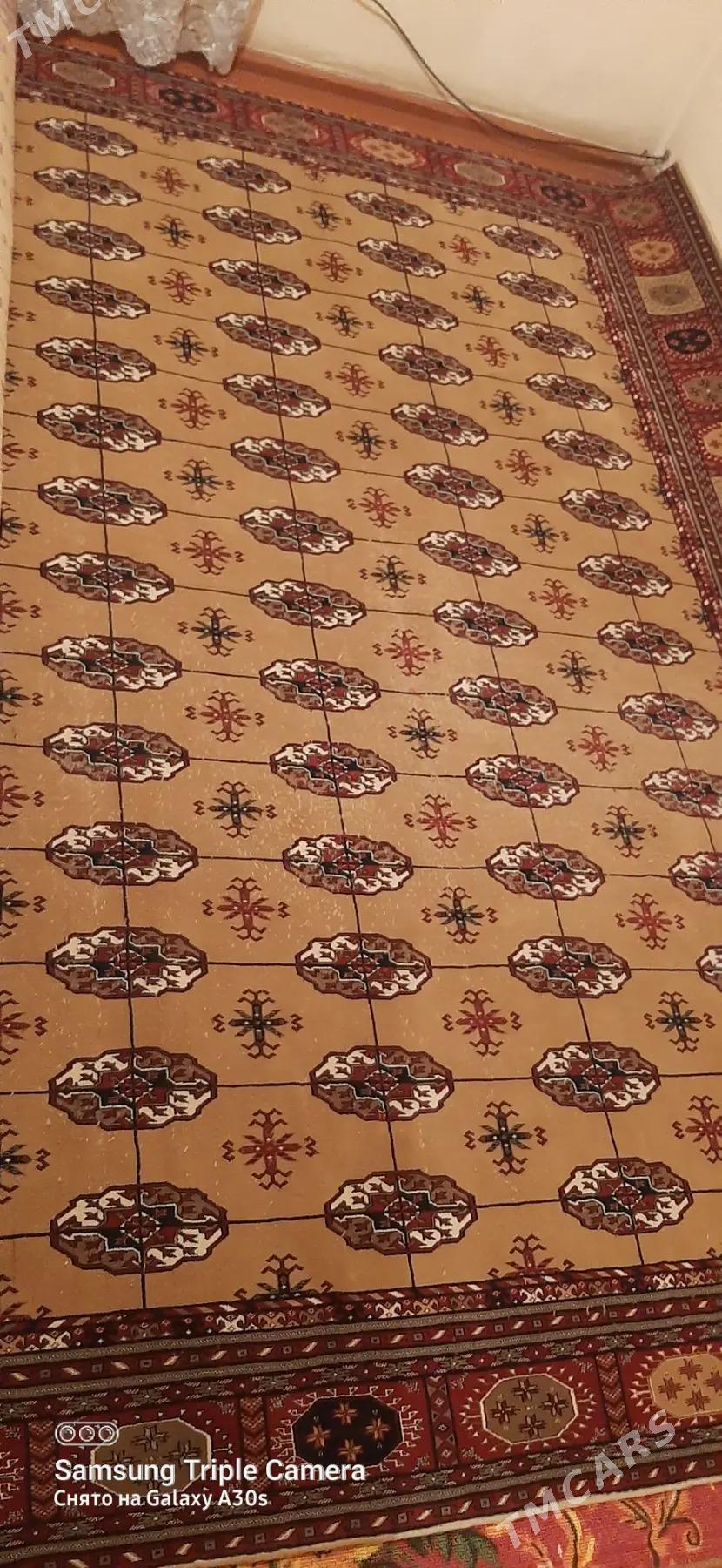 Haly - Balkanabat - img 1