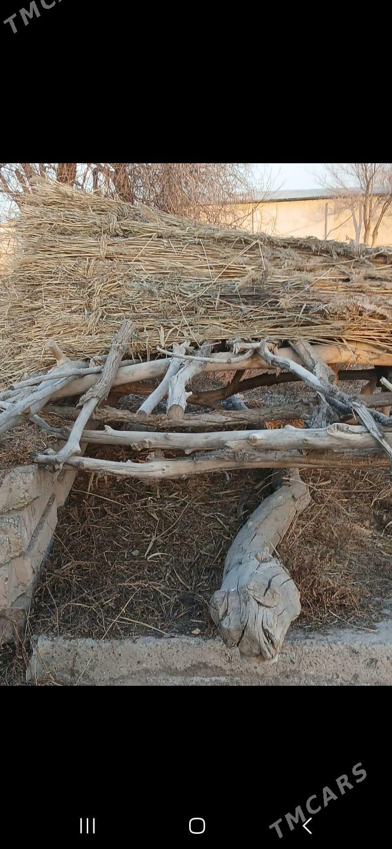 Gamys - Болдумсаз - img 1