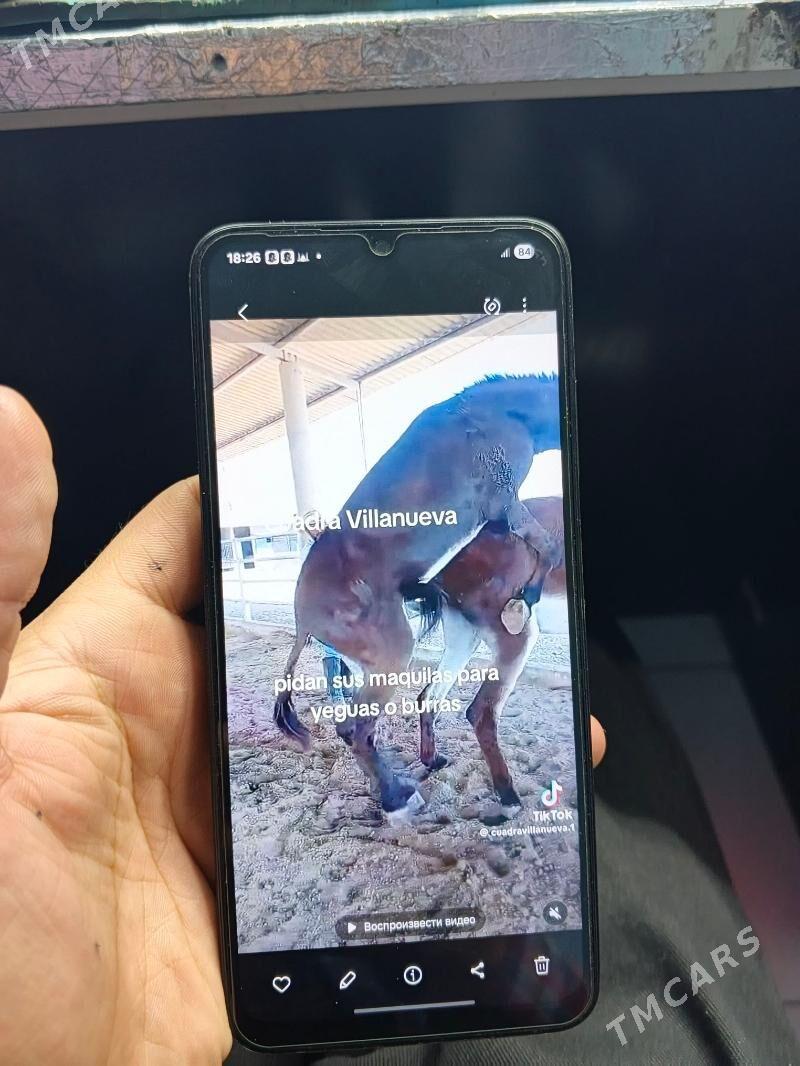 A 05s 4 64 - Дашогуз - img 1