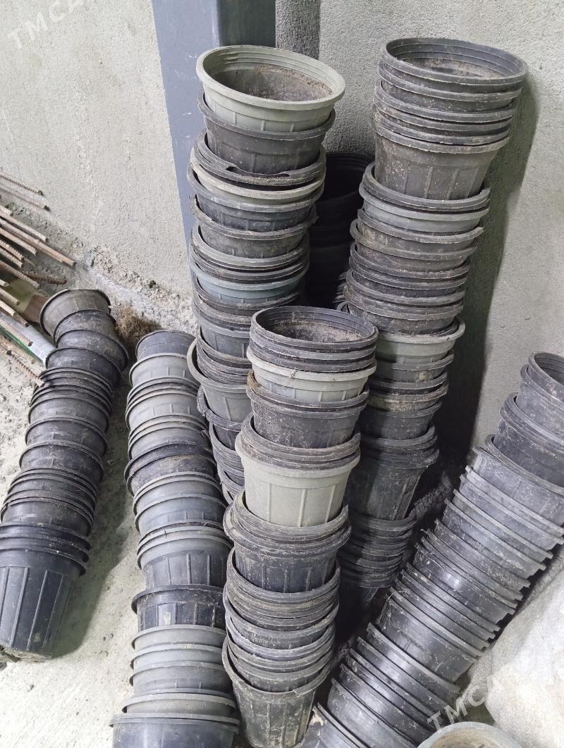 garsok - Багир - img 1