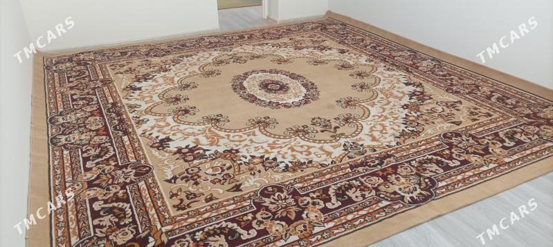 Haly - Daşoguz - img 1