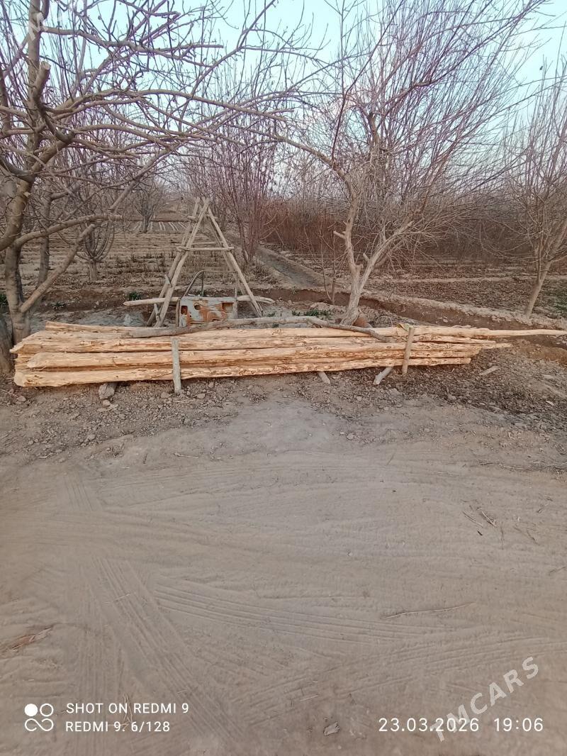 agac.derek - Gurbansoltan Eje - img 1