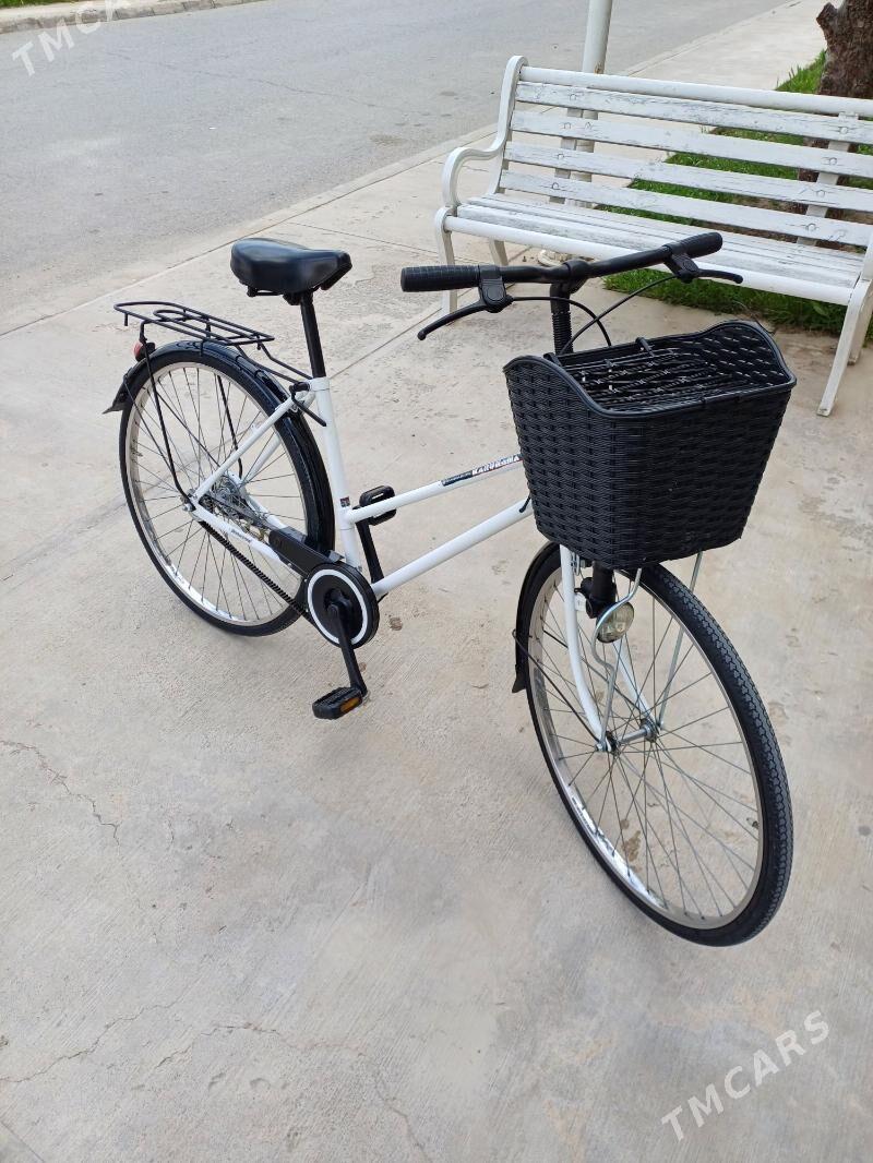 Tigir - Анев - img 1