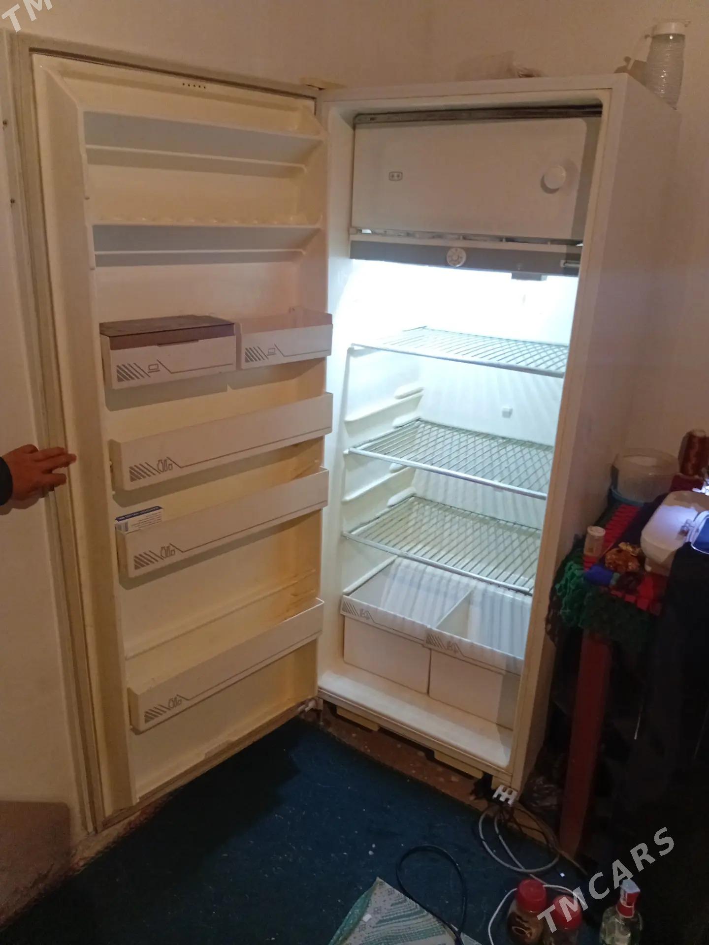 Haladilnik bryusa 6 - Saýat - img 1