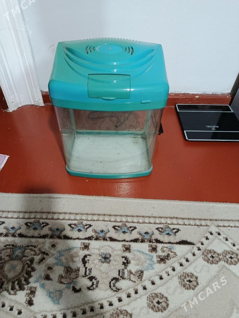 Akwarum - Aşgabat - img 1