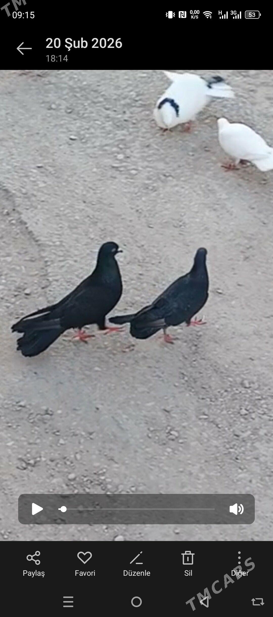 kepderi - Balkanabat - img 1