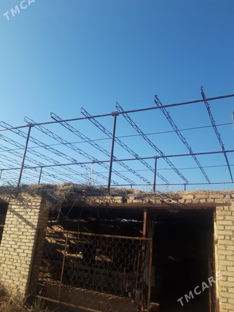 навкс фермалар - Türkmenabat - img 1