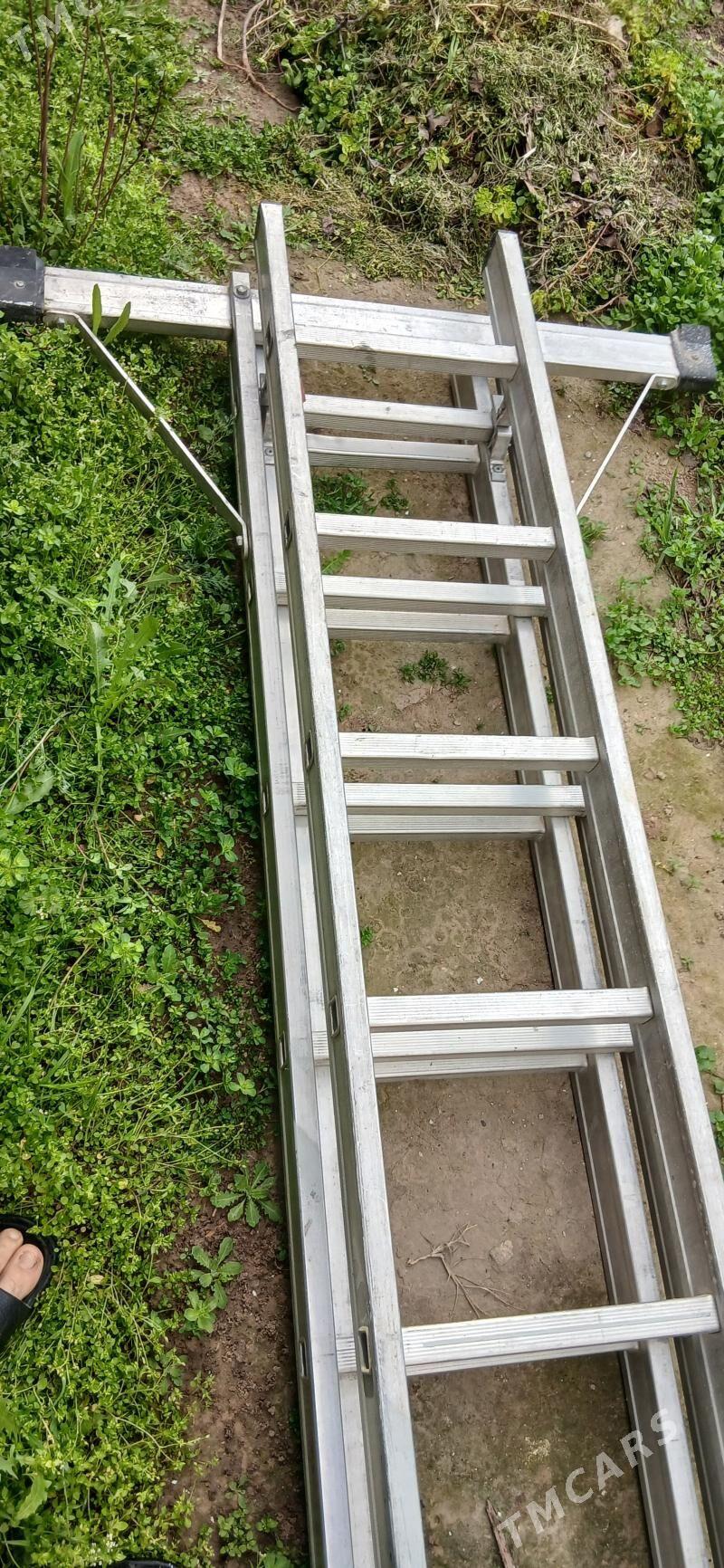 Lesinsa merdiwan - Ашхабад - img 1