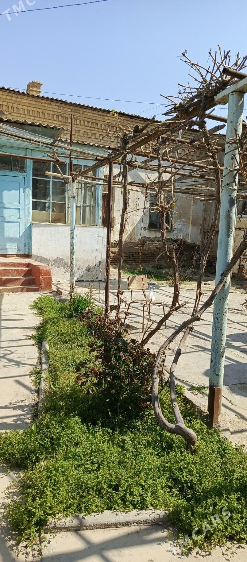 satlyk jay - Байрамали - img 1