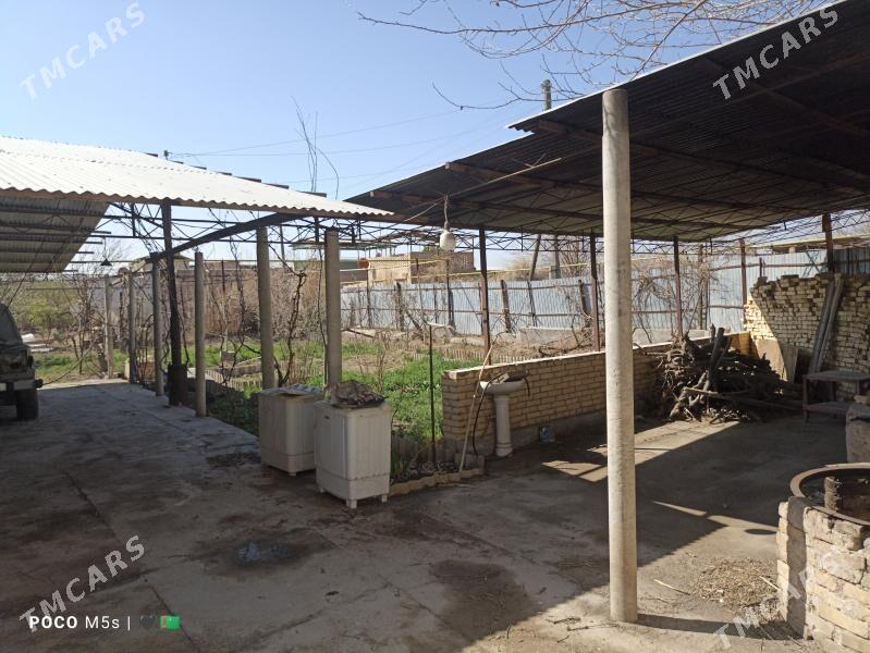 берзен канал дача - Туркменабат - img 1