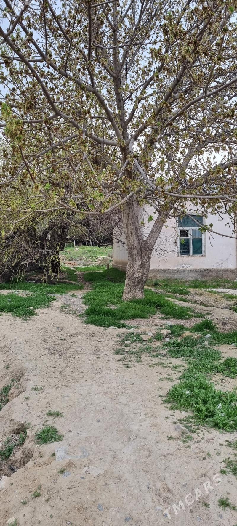 Satlyk jay сатлык жай - Багир - img 1