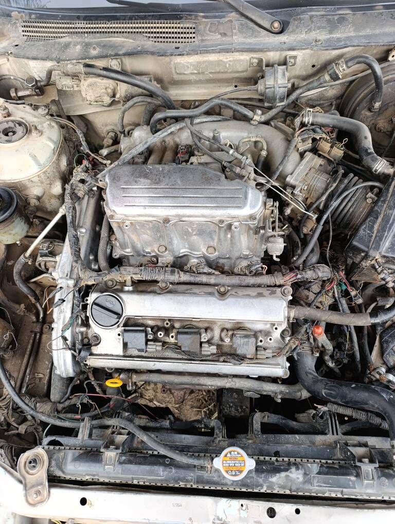 Maksima mator 3 000 TMT - Boldumsaz - img 1