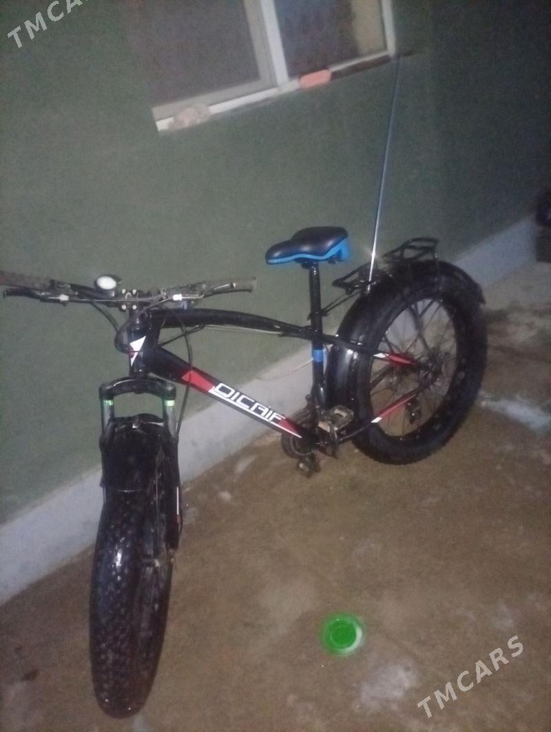 tigir - Boldumsaz - img 1