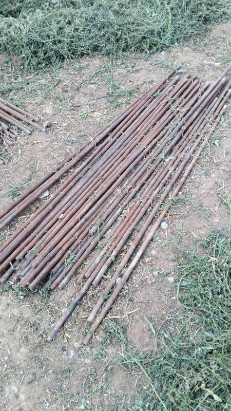 22 lik gladkiý - Туркменгала - img 1