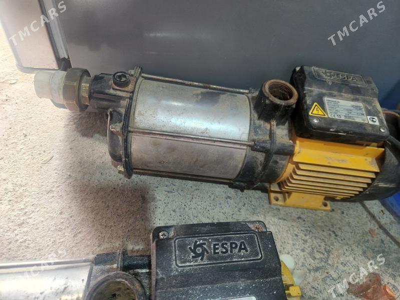 Espa nasos - Анев - img 1