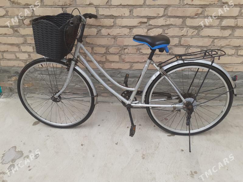 Welisopid - Саят - img 1