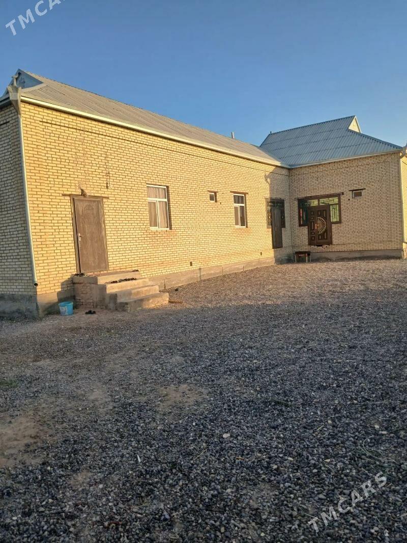 jay - Туркменгала - img 1