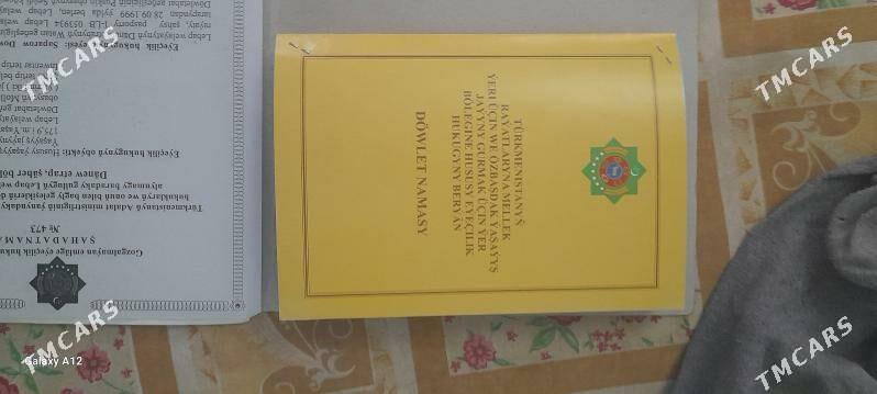 Satlyk jay - Dänew - img 1