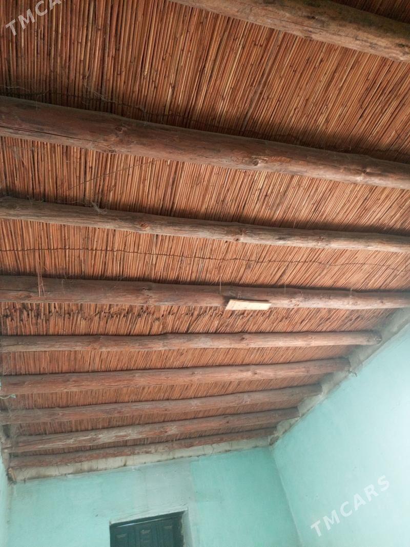 agaclar - Сейди - img 1