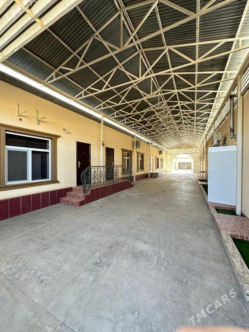 Satlyk Howly jay - Мары - img 1