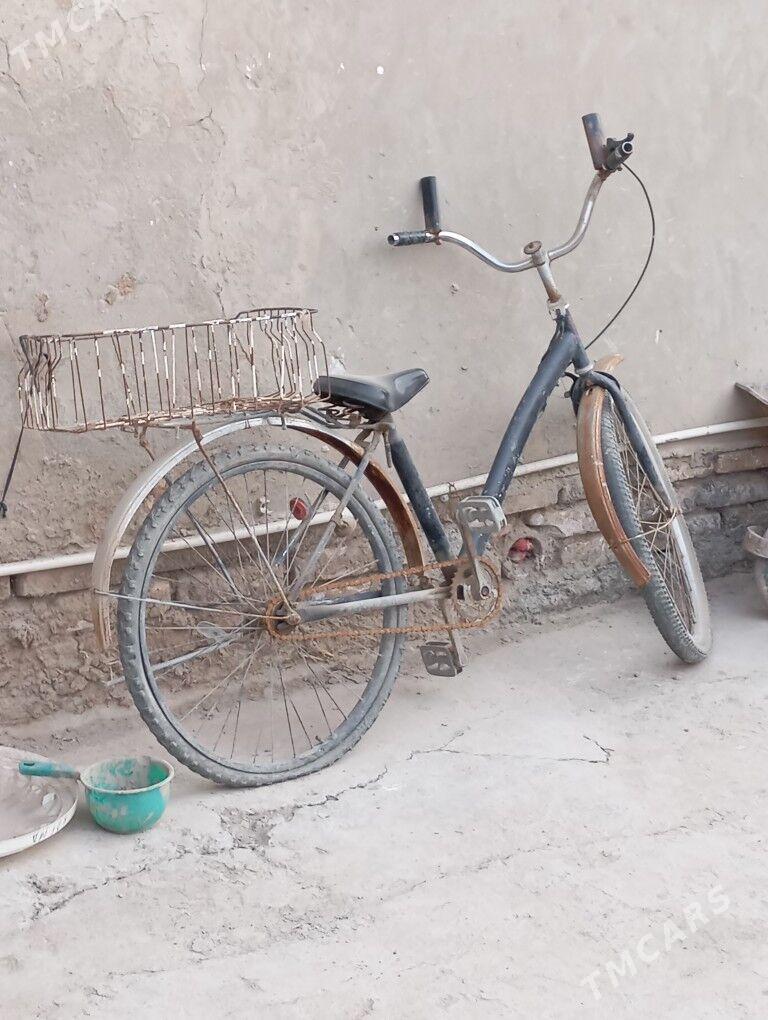 тигир - Şabat etr. - img 1