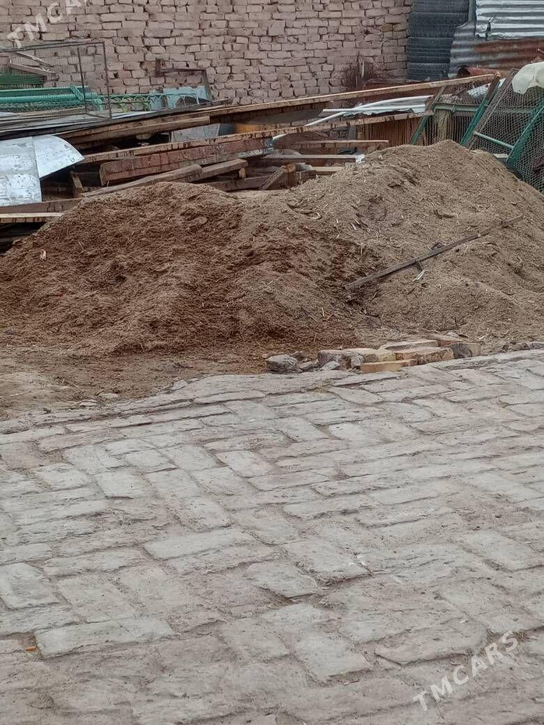 tovuk nuru - Туркменабат - img 1