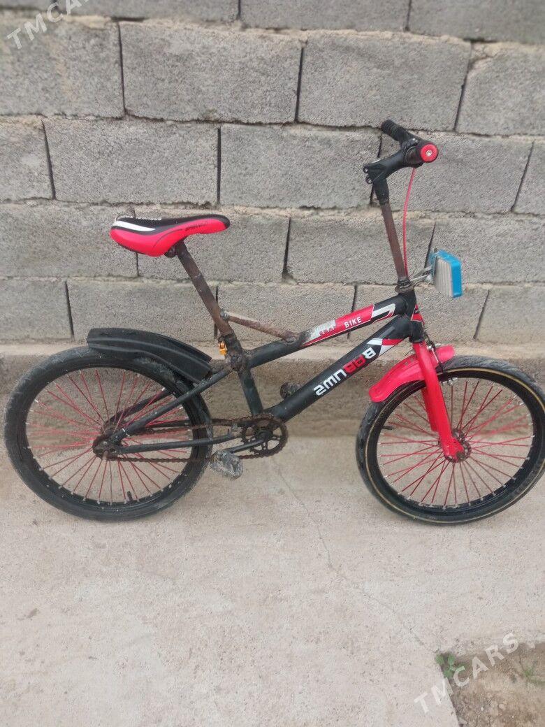 tigir - Багир - img 1