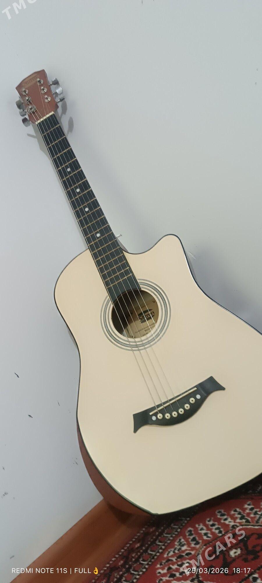 Gitara - Теджен - img 1