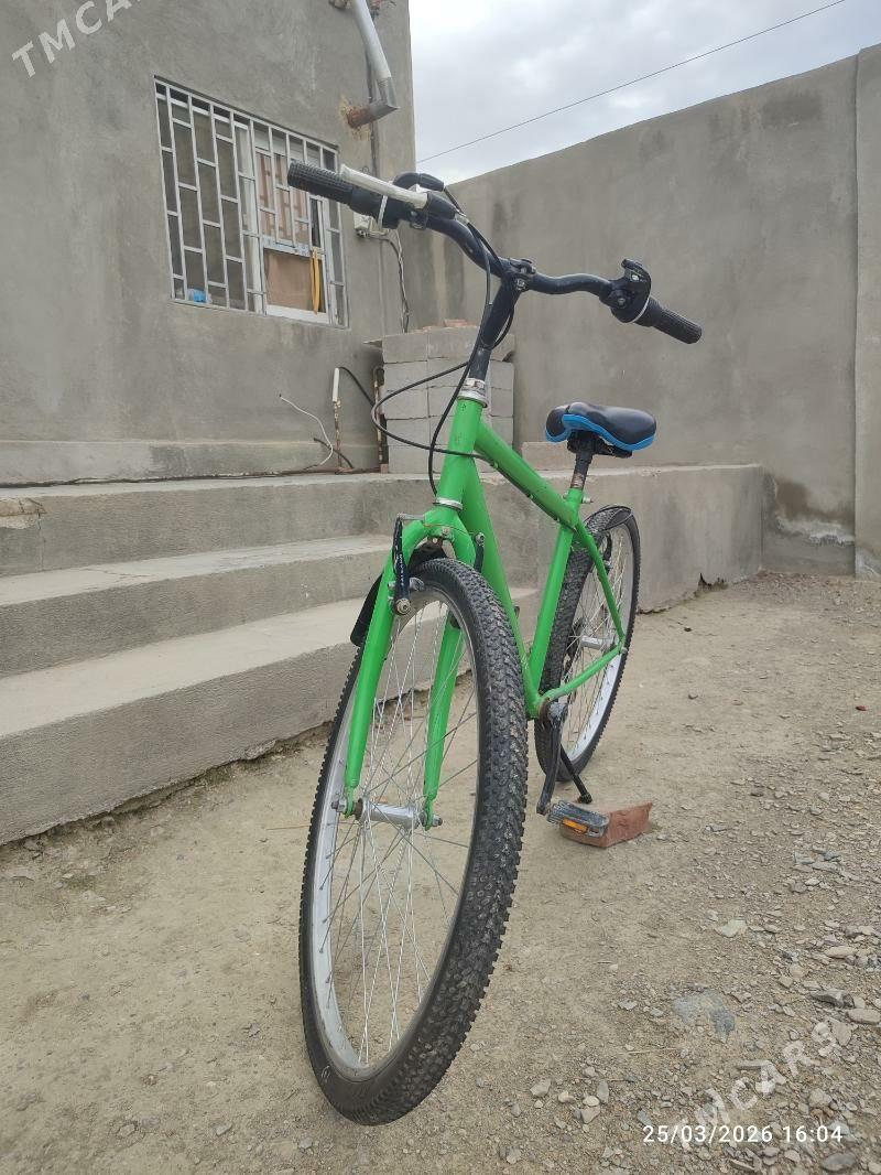 tigit - Бахарден - img 1