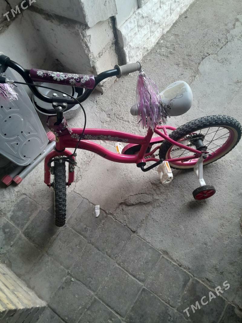 Welsepet - Türkmenbaşy - img 1