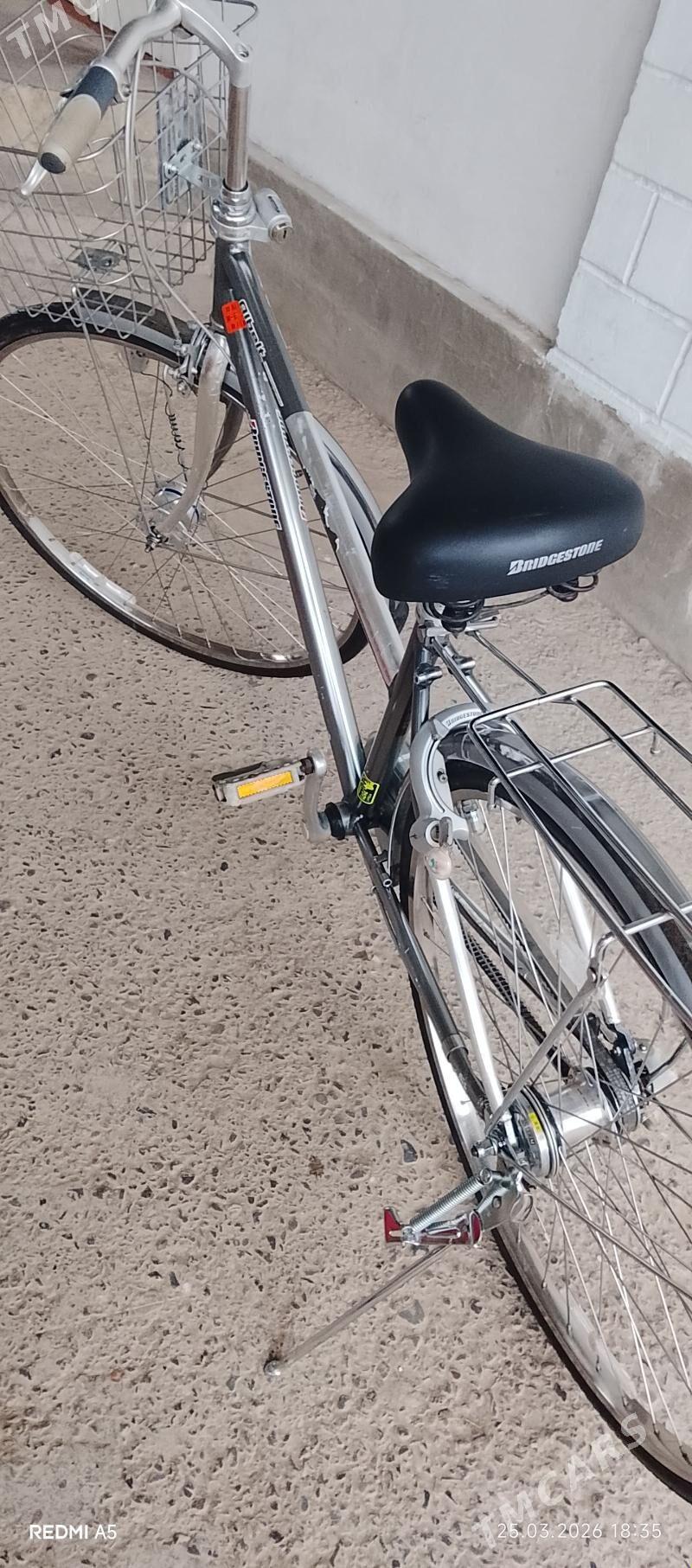 Tigir - Бузмеин - img 1