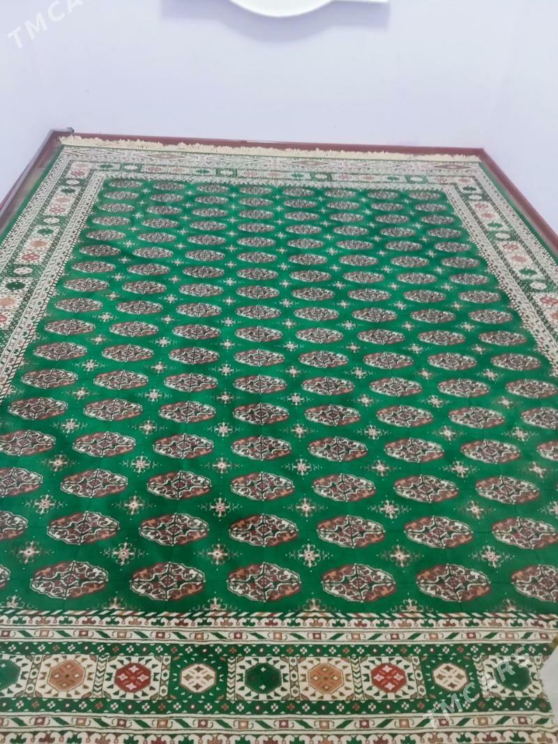 haly - Берекет - img 1