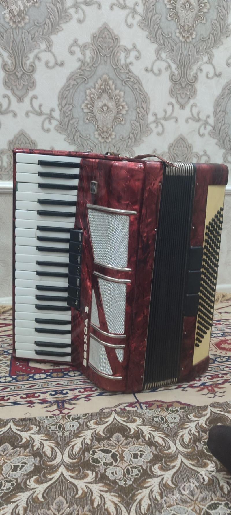 Akkordion Washod 3 - Aşgabat - img 1