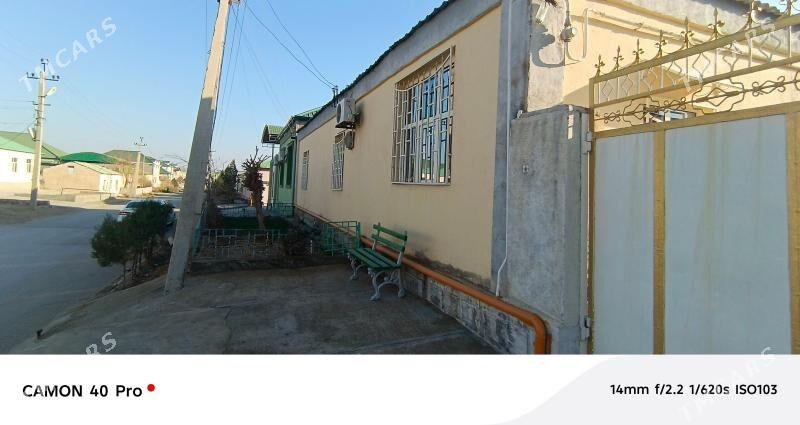 Coganly jay - Aşgabat - img 1