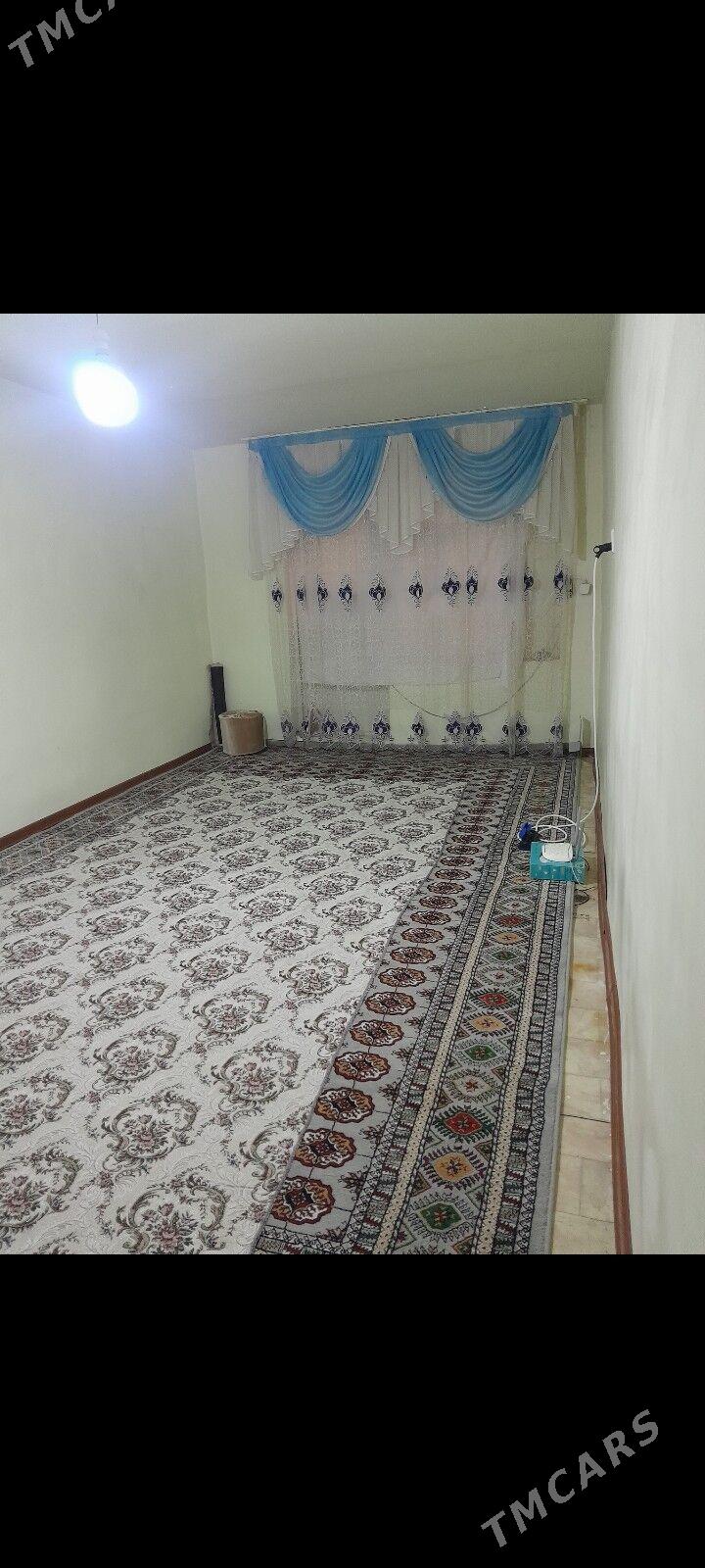 Satlyk jay - Tejen - img 1