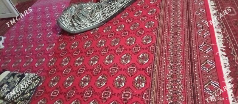 haly - Gubadag - img 1