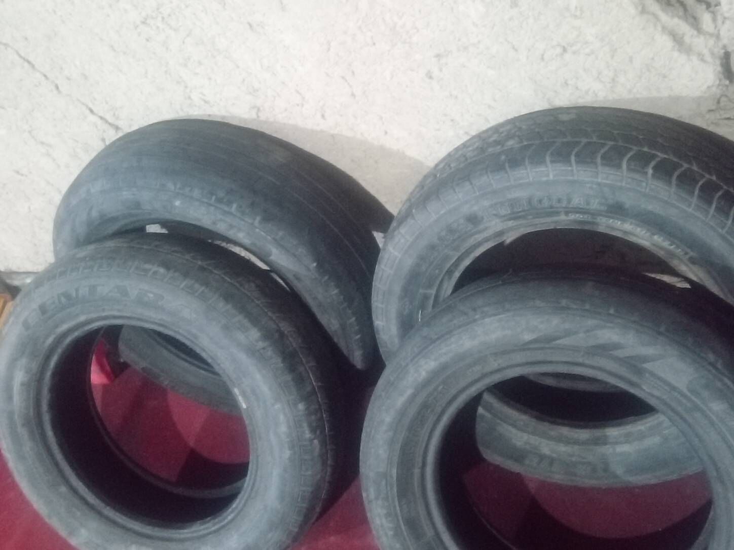 Tiko tekerler 15 TMT - Daşoguz - img 1