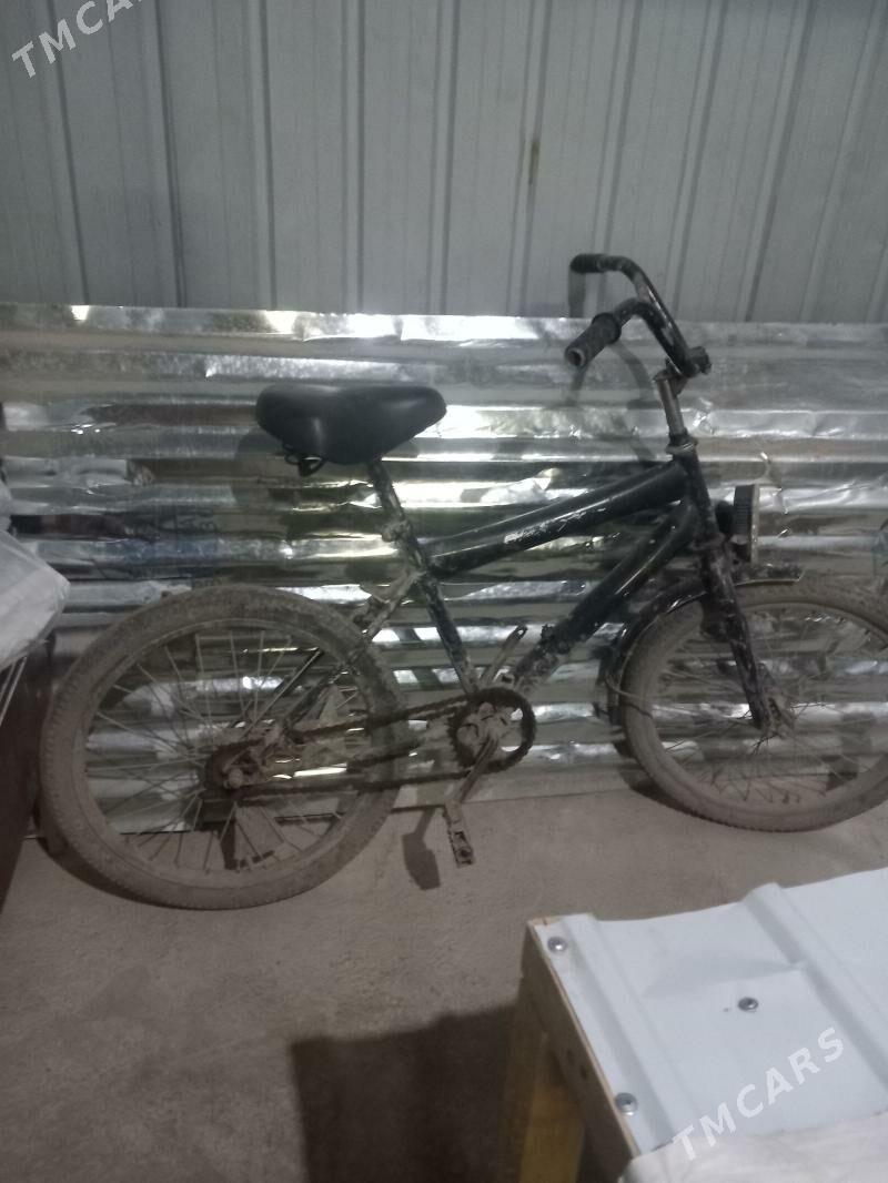 Tigir - Tejen - img 1