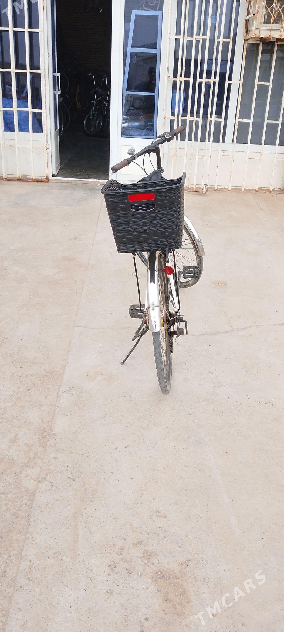 welsopet - Мары - img 1