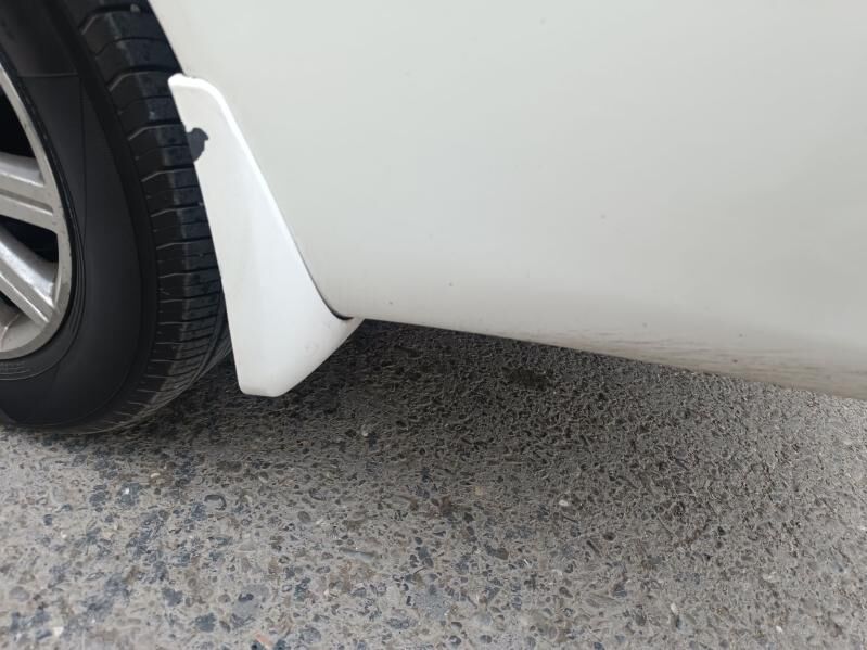 Öküz kelle brizgawik 250 TMT - Ruhabat (90-njy razýezd) - img 1