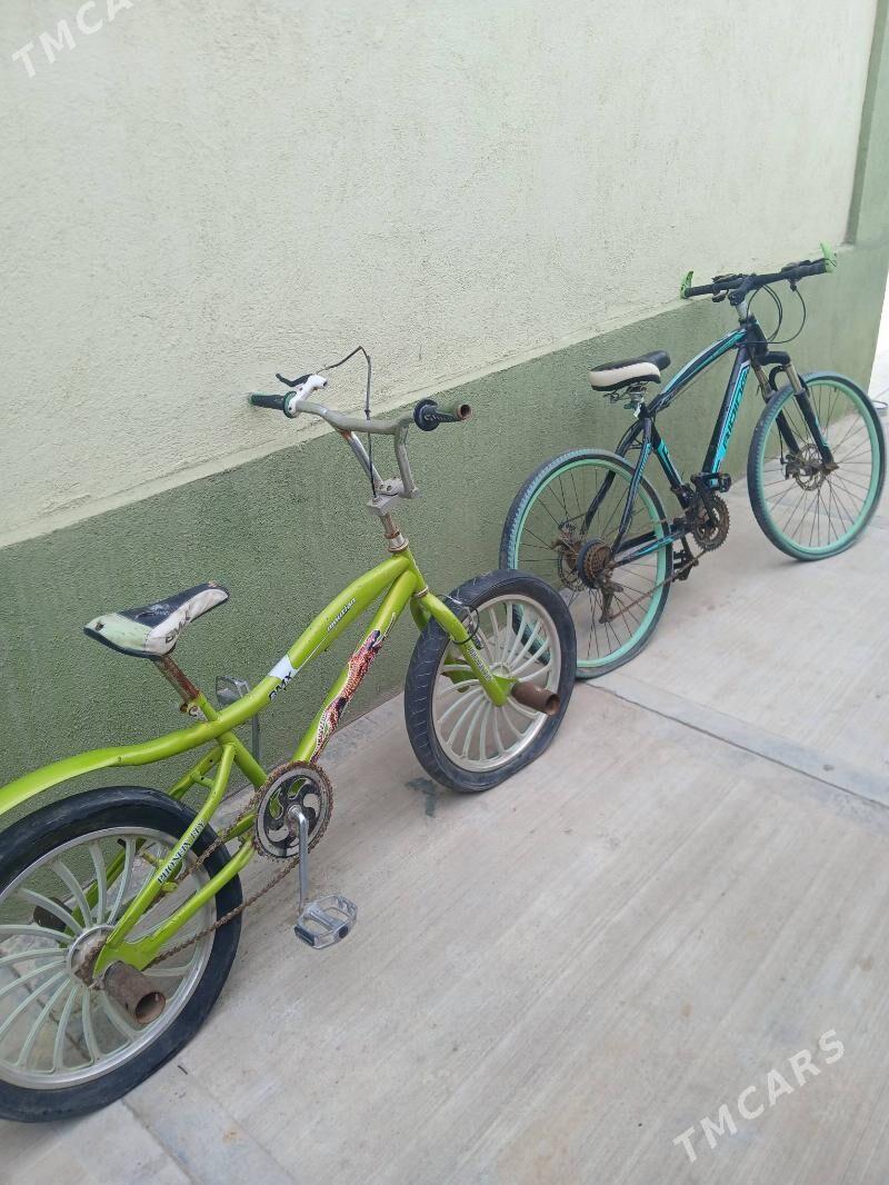 Tigir - Çoganly - img 1