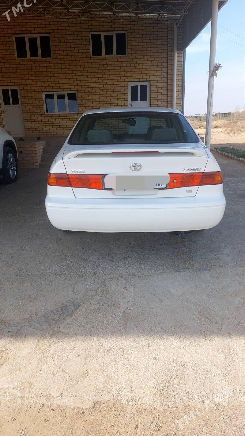 Toyota Camry 2000 - 175 000 TMT - Sakarçäge - img 1