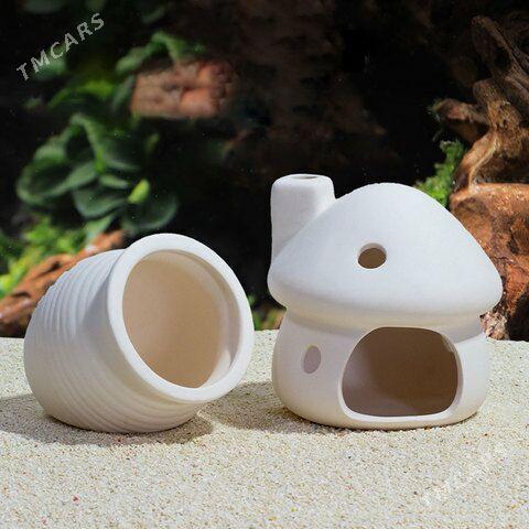 akwarium üçin bezeg - Türkmenabat - img 1